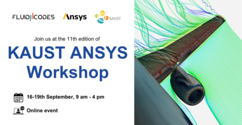 11th KAUST ANSYS Workshop